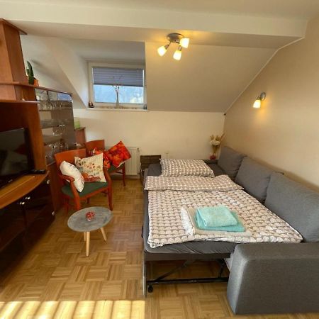 Apartment Kranj - Huge Terrace, Free P, Wi - Fi, Ac ภายนอก รูปภาพ
