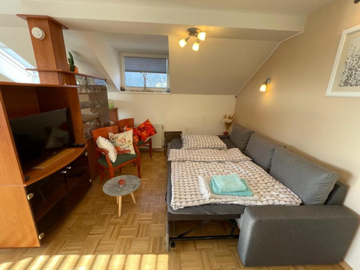 Apartment Kranj - Huge Terrace, Free P, Wi - Fi, Ac ภายนอก รูปภาพ