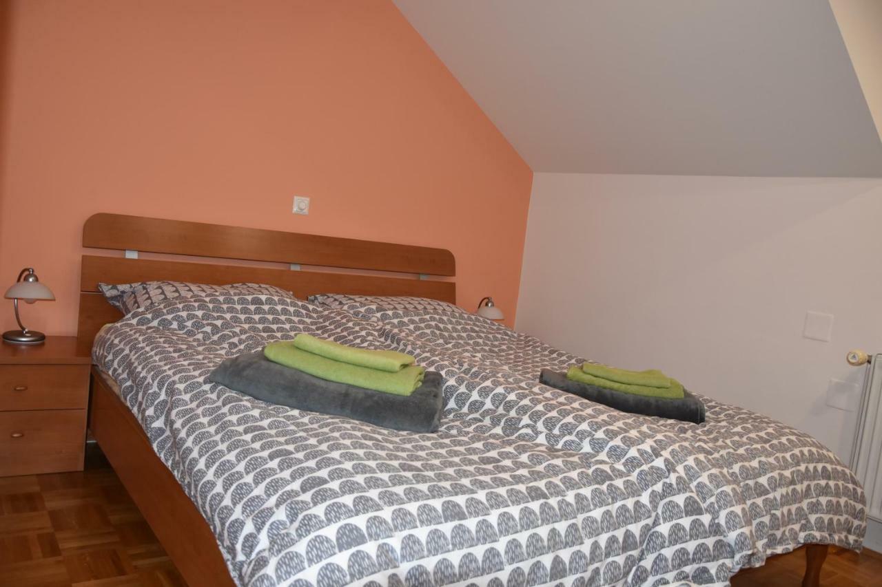 Apartment Kranj - Huge Terrace, Free P, Wi - Fi, Ac ภายนอก รูปภาพ